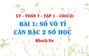 Số vô tỉ là gì, căn bậc hai số học là gì, ví dụ? Toán 7 bài 1 c2cd1